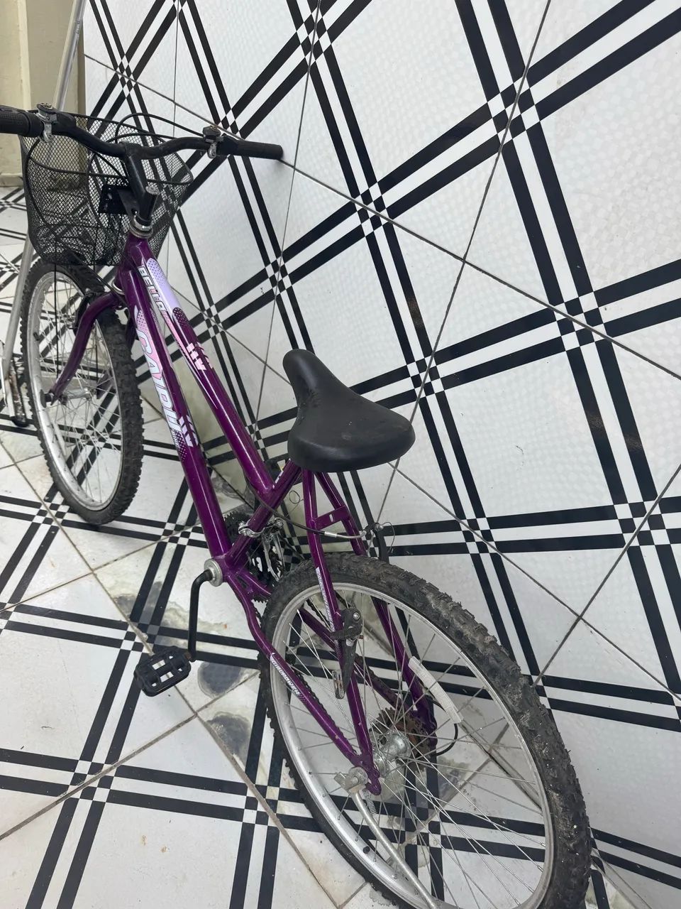Bicicleta