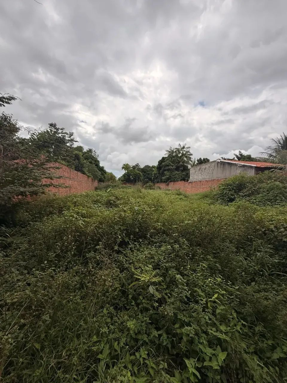 Vendo terreno no Itapiraco murado - Foto 2