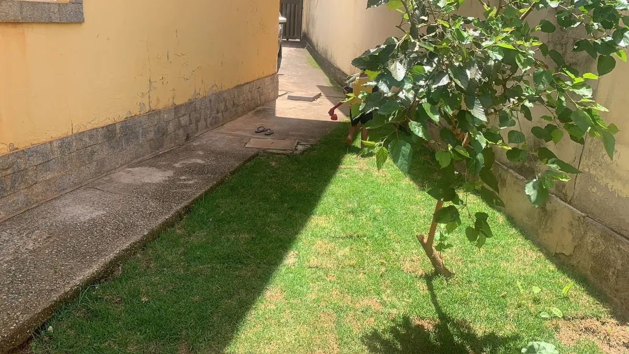 Jardineiro  - Foto 6