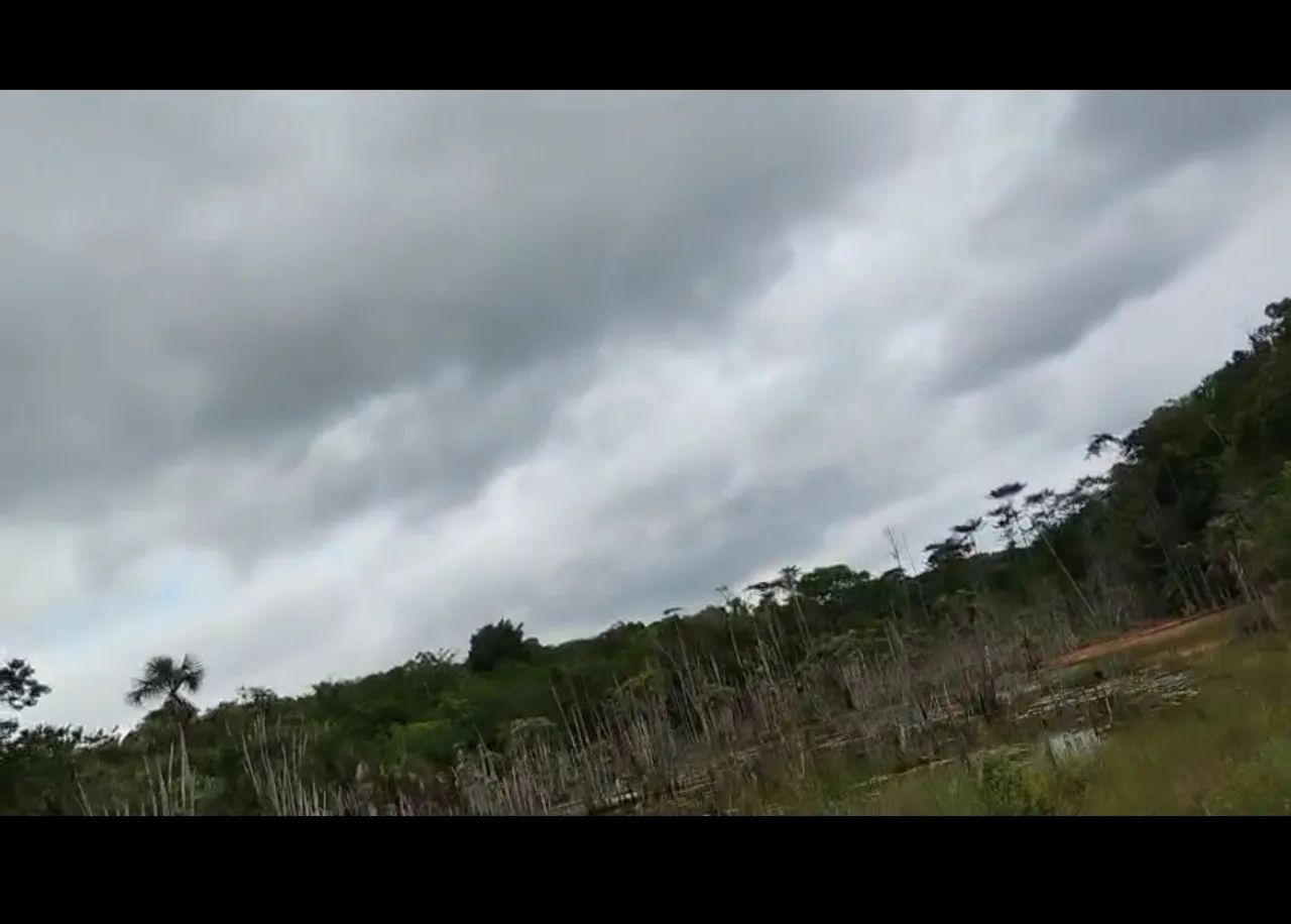 Foto - Macapá - Novo Bosque