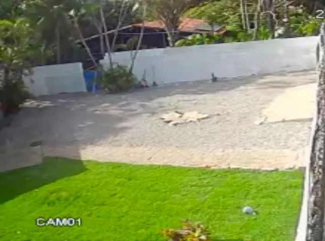 ÁREA COM CASA E PISCINA À VENDA EM PONTA NEGRA COM 2.600 m². - Foto 3