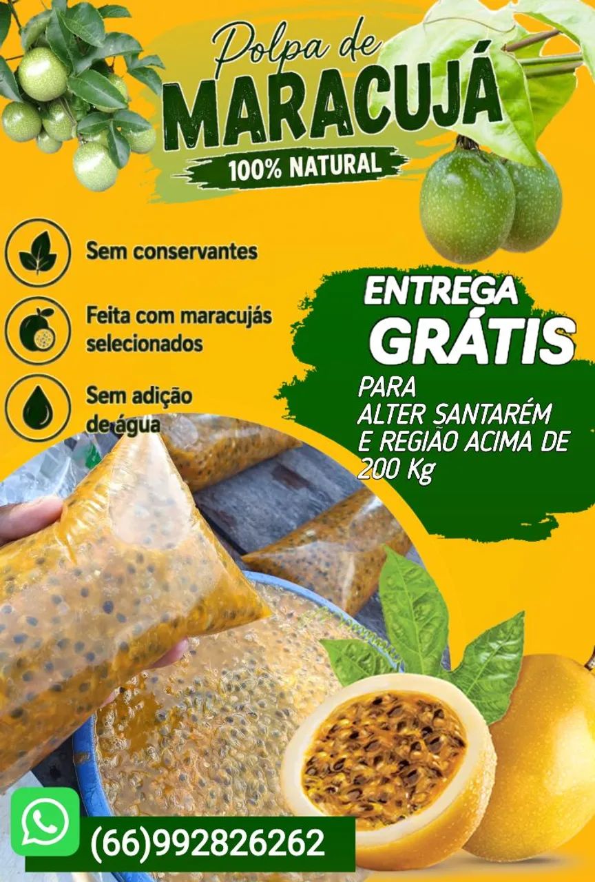 POLPAS DE MARACUJÁ 100% NATURAL - Foto 2