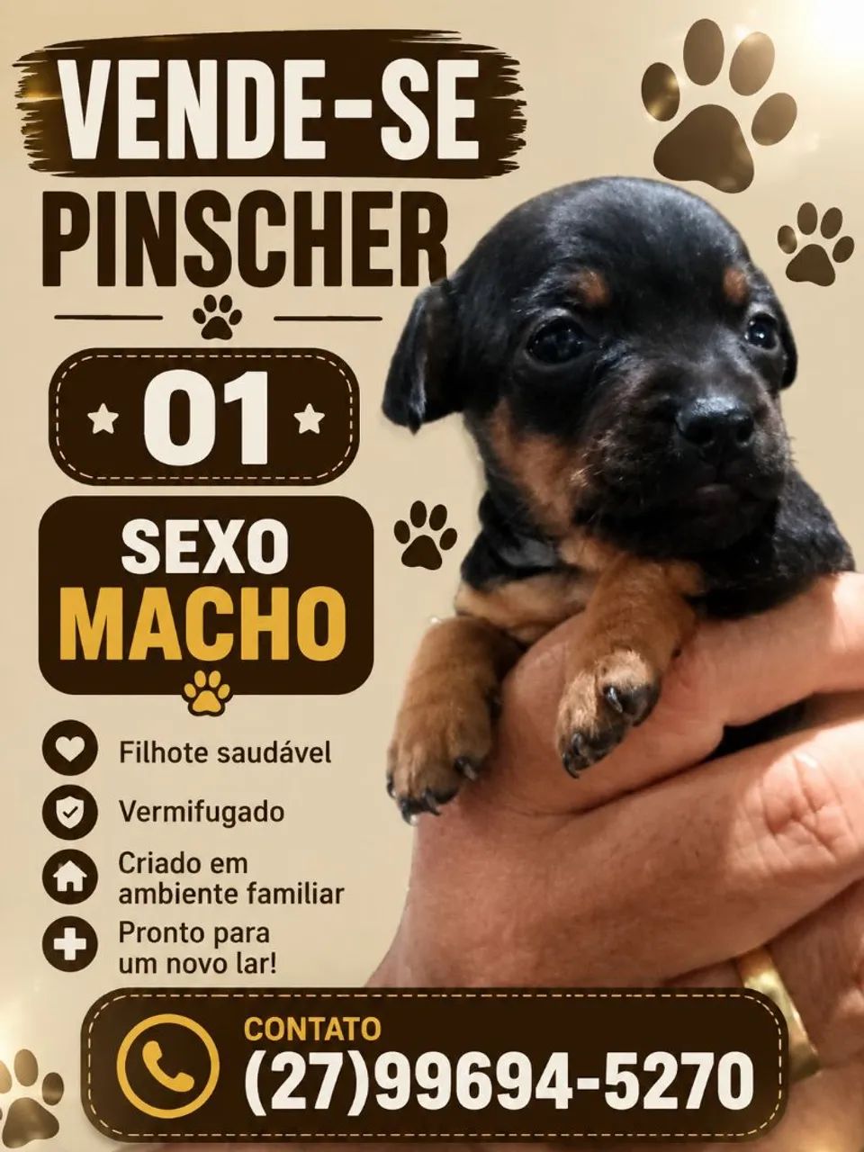 Vende conforme a imagem ilustrada