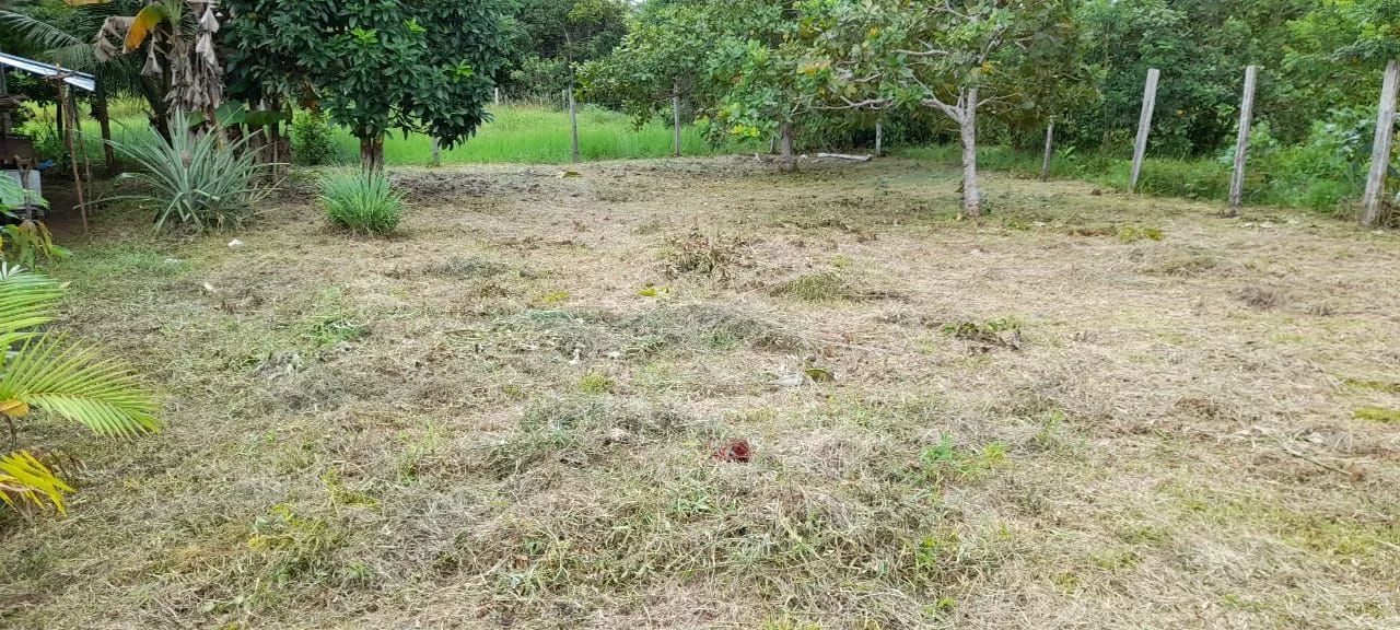Documento de compra e venda registrado e autenticado no cartório - Foto 3