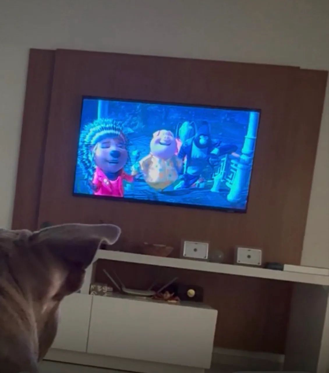 Painel de TV