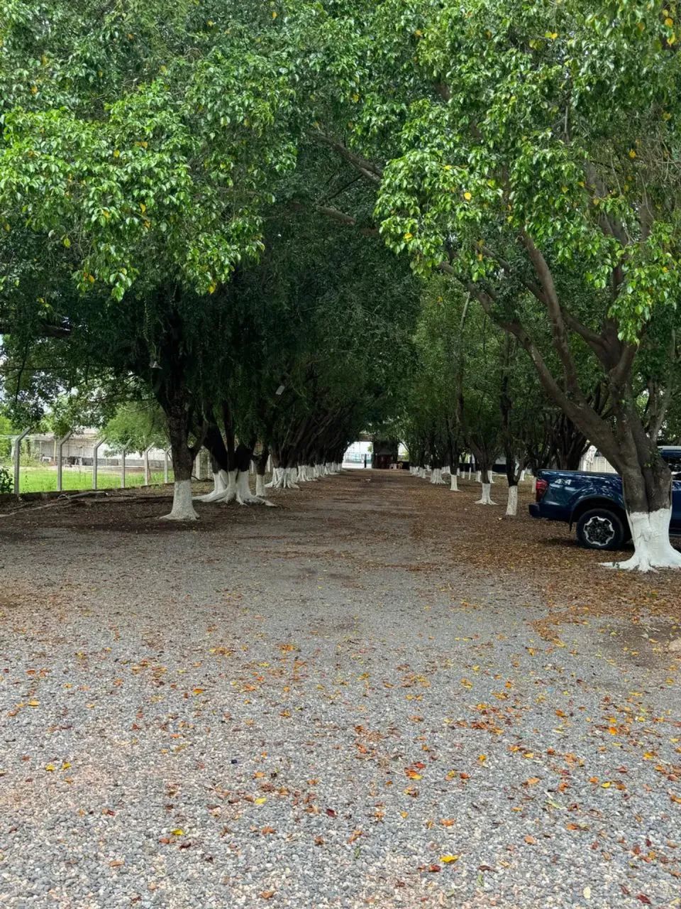 area de 27 mil m2 enfrente a unic