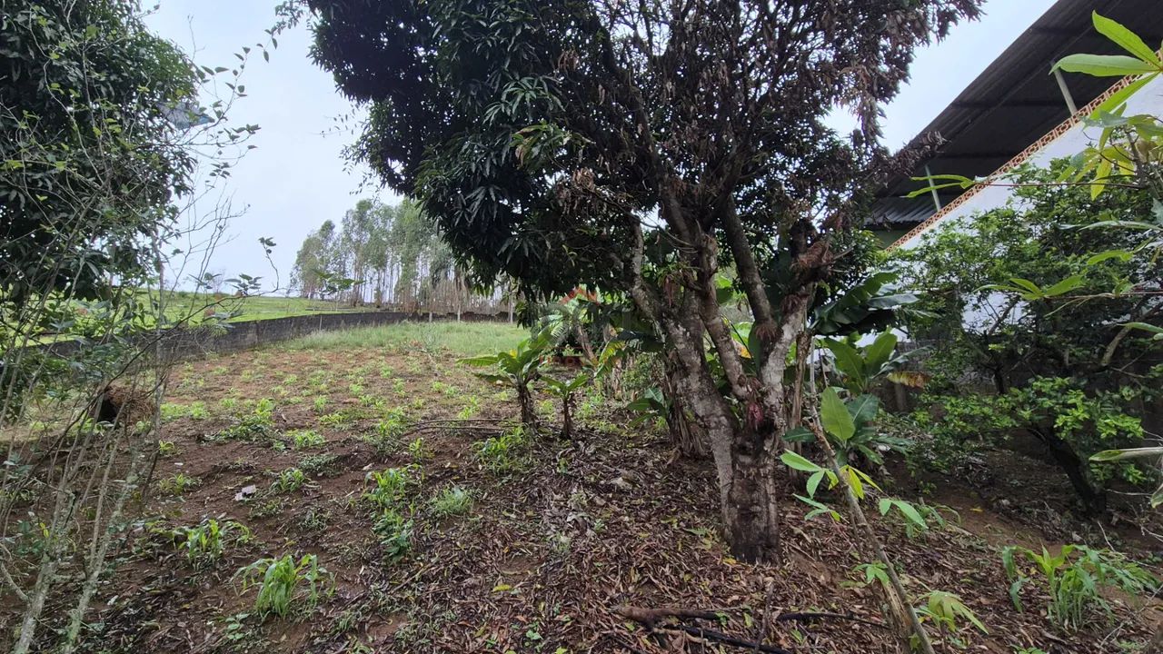 Lote / Terreno - Grama - Foto 3
