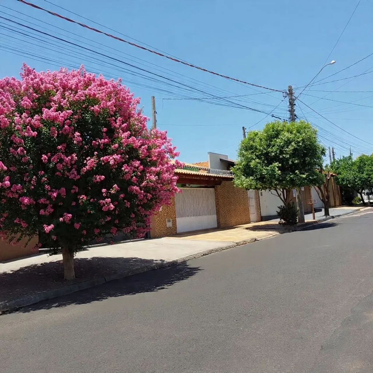 Casa para Temporada em Olímpia, próxima ao Termas dos Laranjais, 1 dormitório, 4 pessoas  - Foto 5