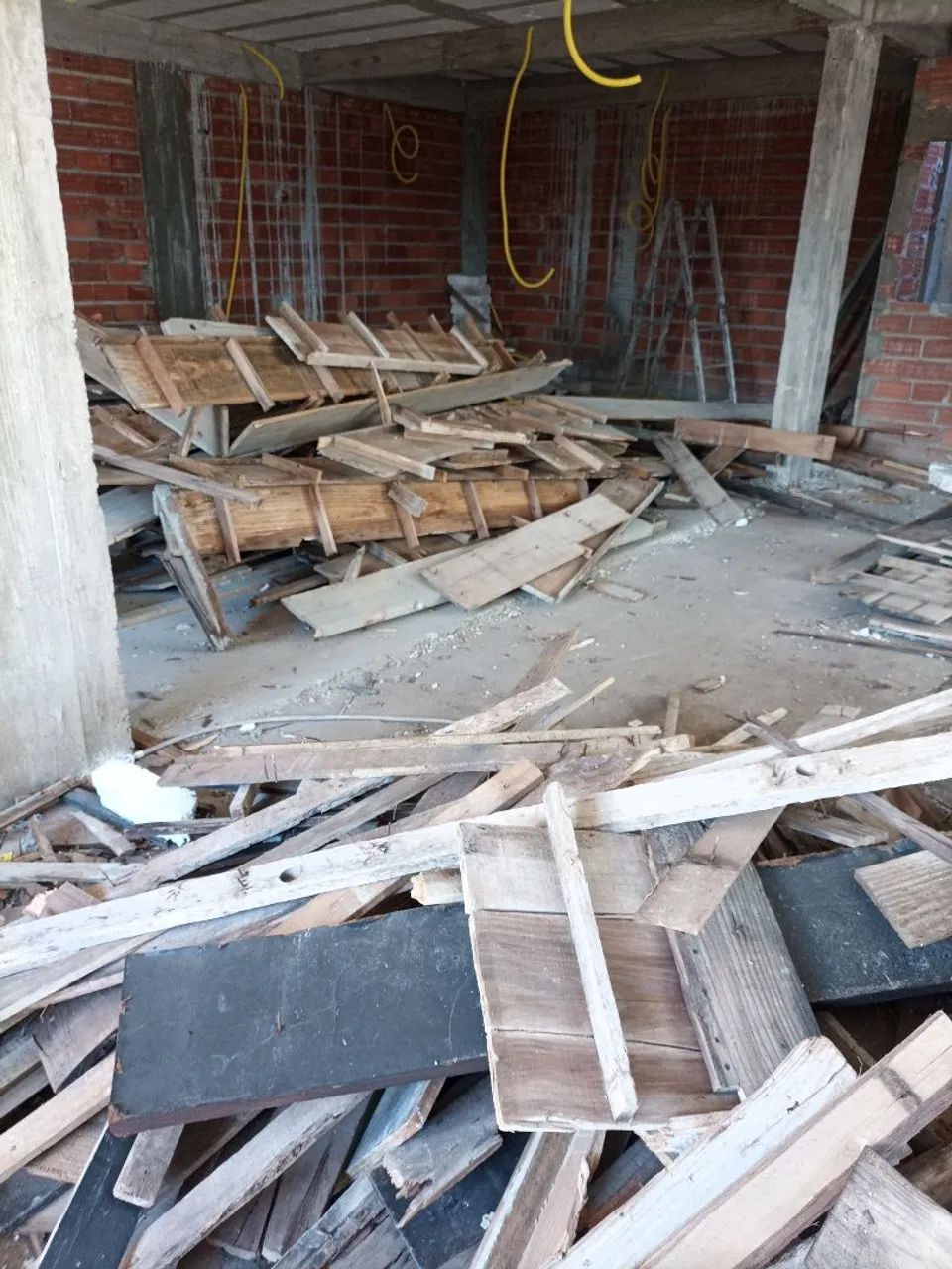 Escara de eucalipto tabua436600734127247362