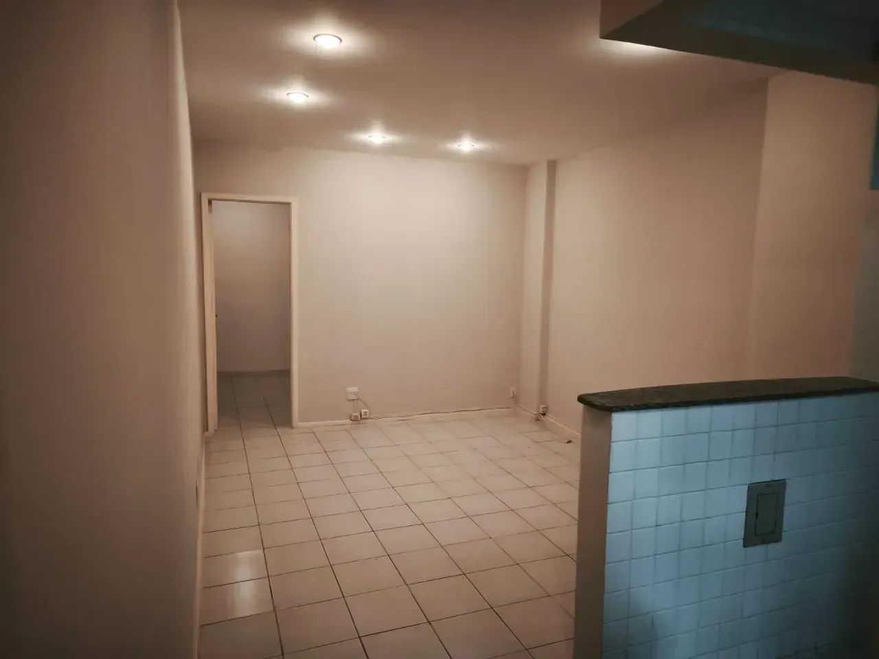 apartamento Humaita - Foto 3