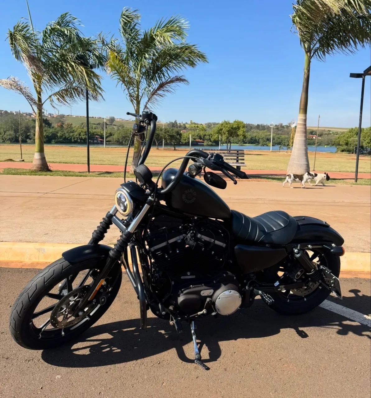 Harley 883  - Foto 2