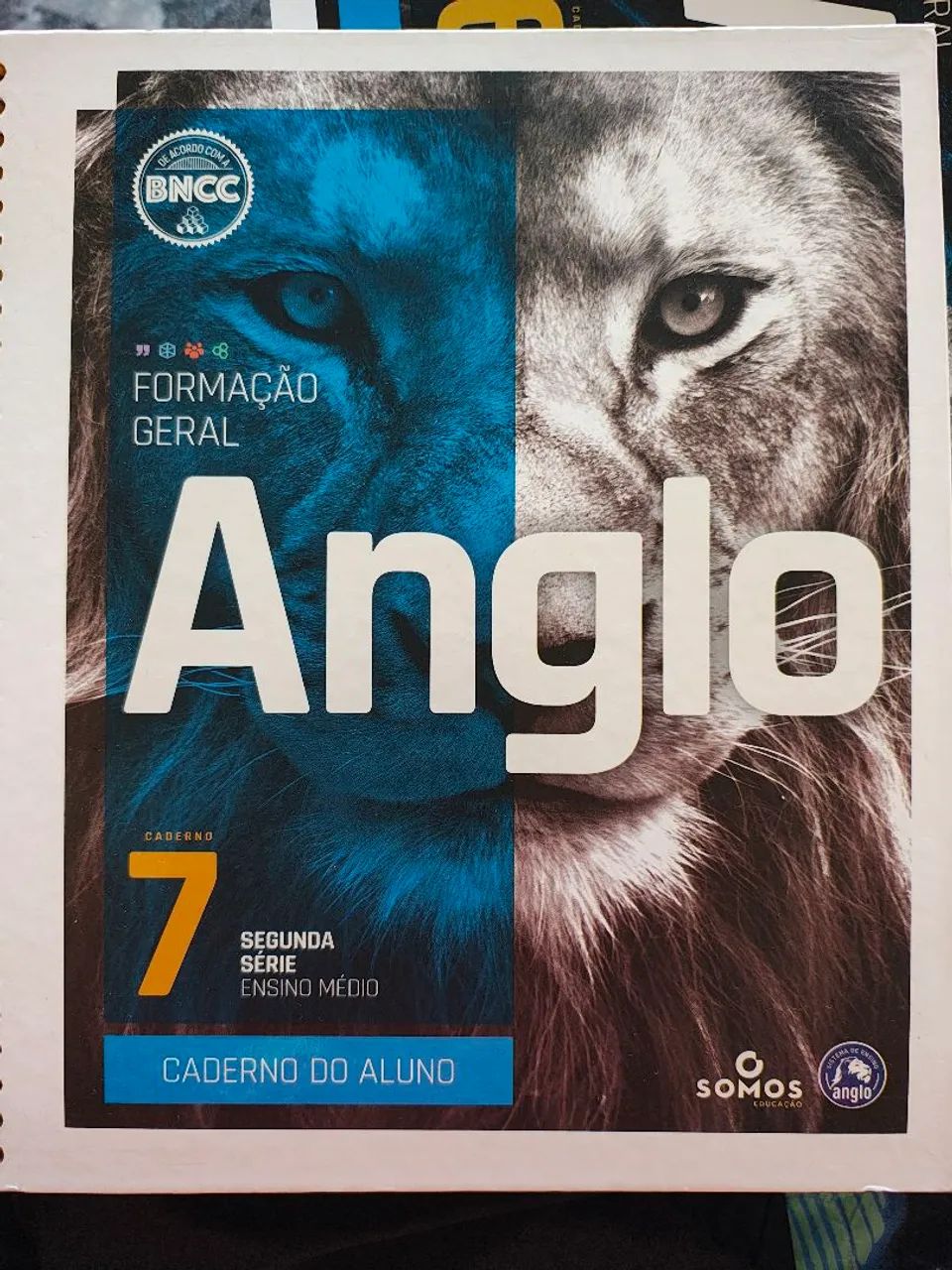 Apostilas Anglo Usadas 1º e 2º E.M. - Foto 2