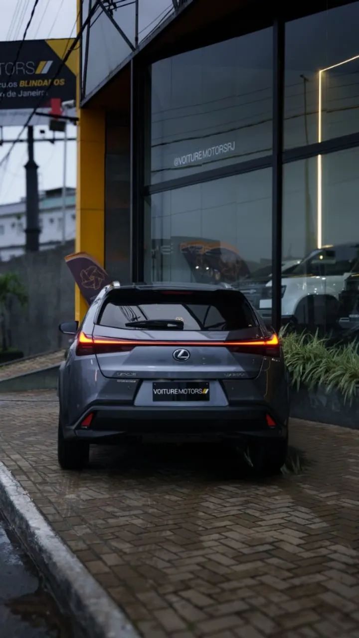 Lexus UX-250h Dynamic 2.0 16V Aut.(hybrid), foto 7 de 18