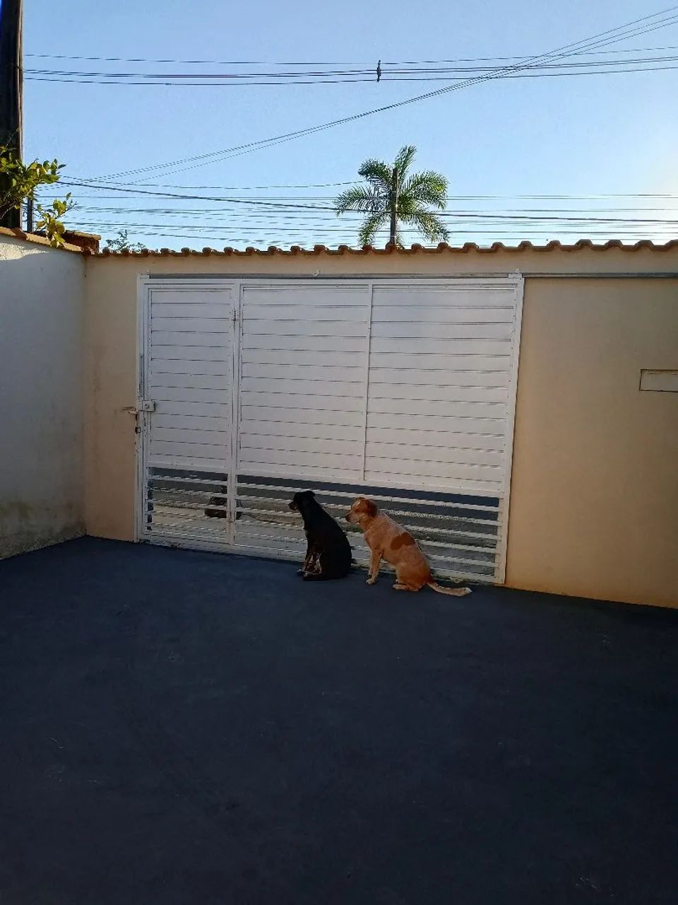 Bloco d2  - Foto 2
