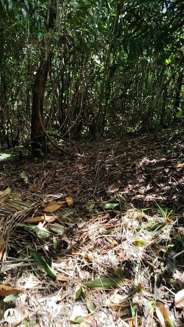 Terreno com rio no fundo  - Foto 5