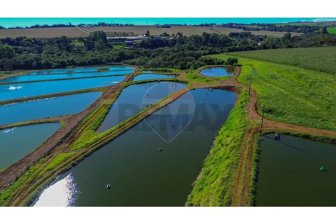 Fazenda Britania - Foto 5