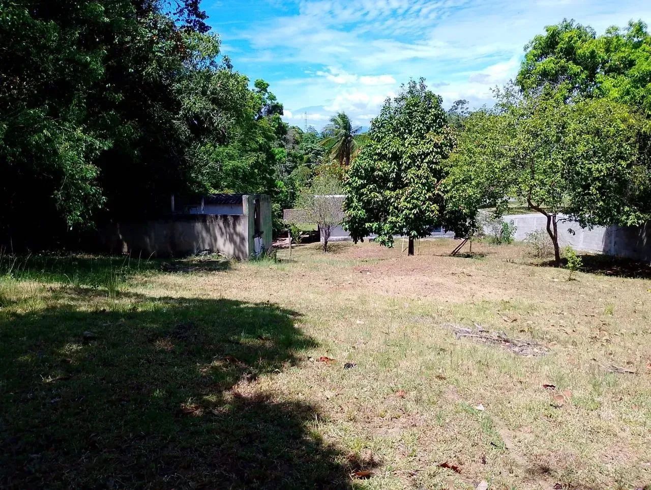 Sitio com 2800 m2 em Seropedica com casa de 4 qts - Foto 3