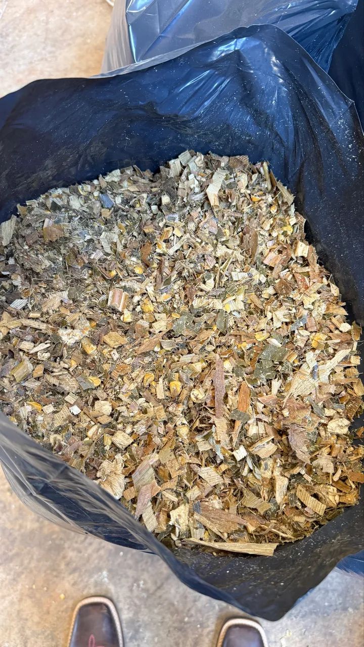 Silagem de milho ensacada  - Foto 2
