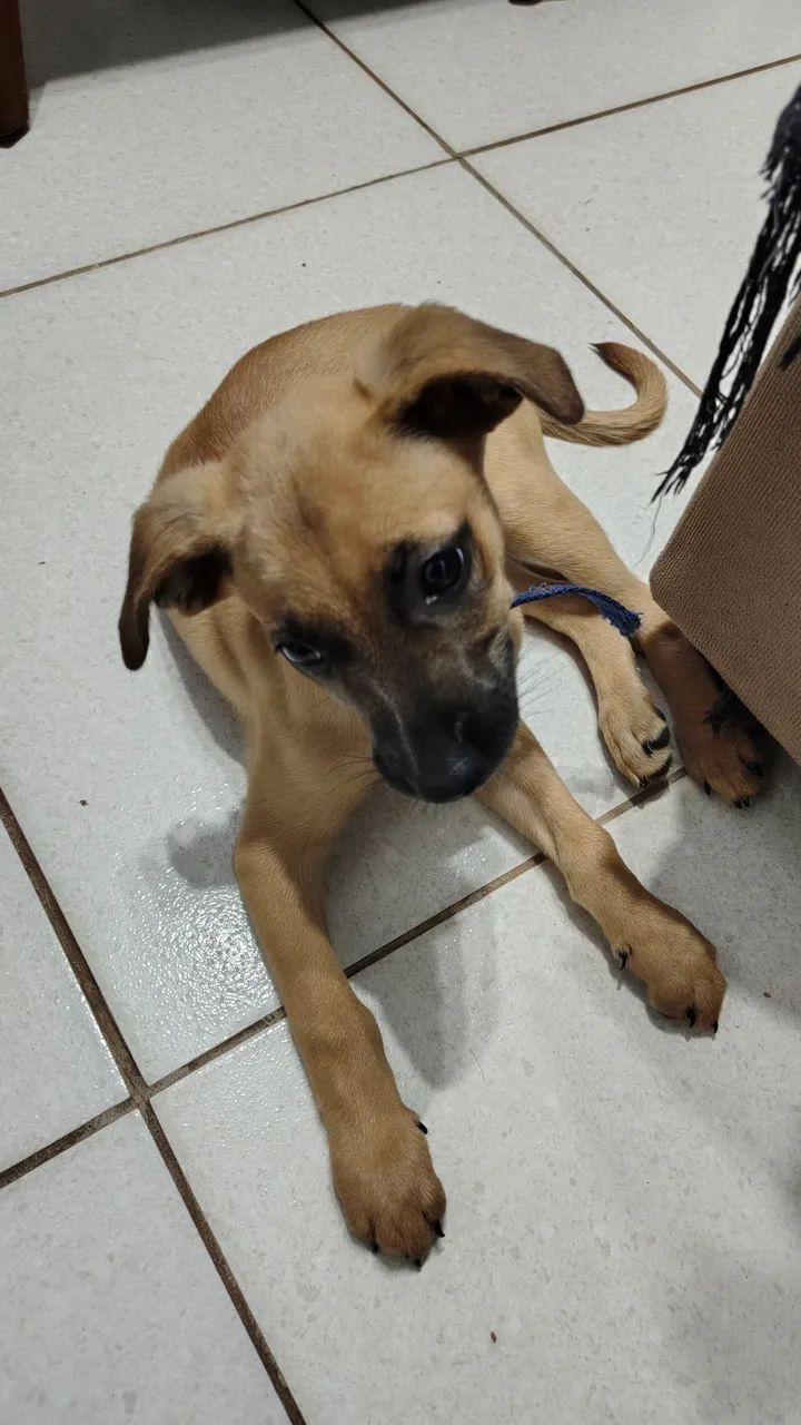 Doação  - Foto 2
