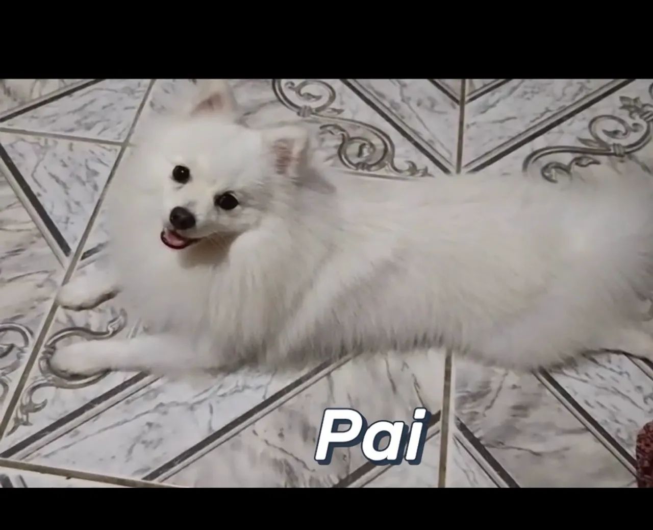Princesinha  - Foto 3