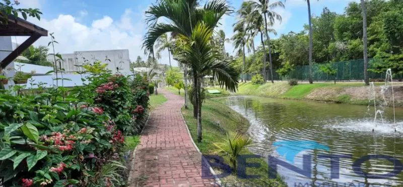 LOTE MACEIÓ GARÇA TORTA - Foto 2