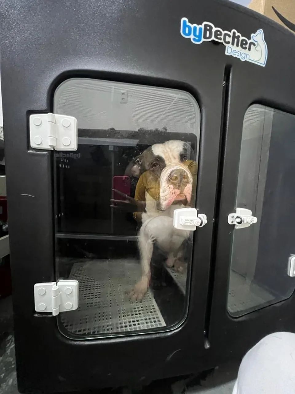 Máquina   De   Secar   Animais  Bybecker    - Foto 2