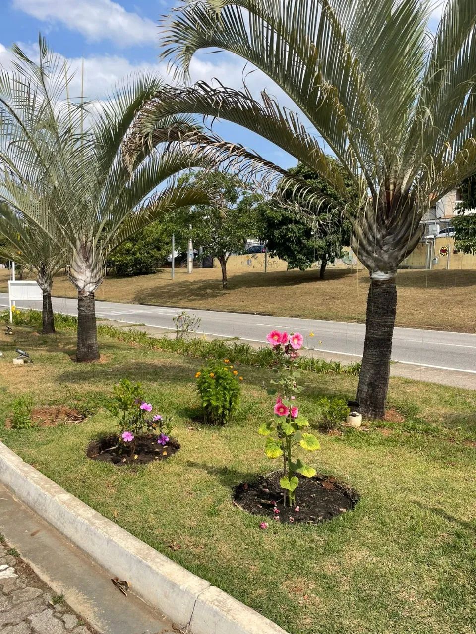 SOROCABA - Padrão - Além Ponte - Foto 4