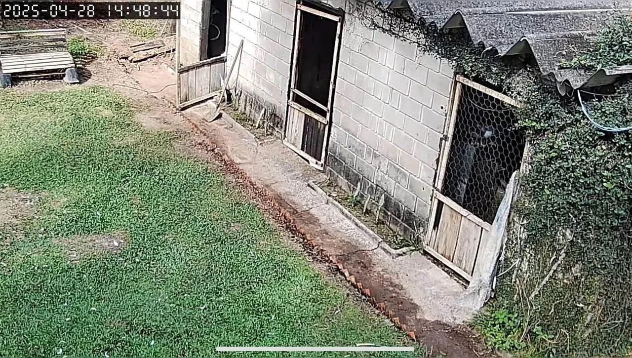 SÍTIO EM ÁGUAS DE SÃO PEDRO SP - Foto 3