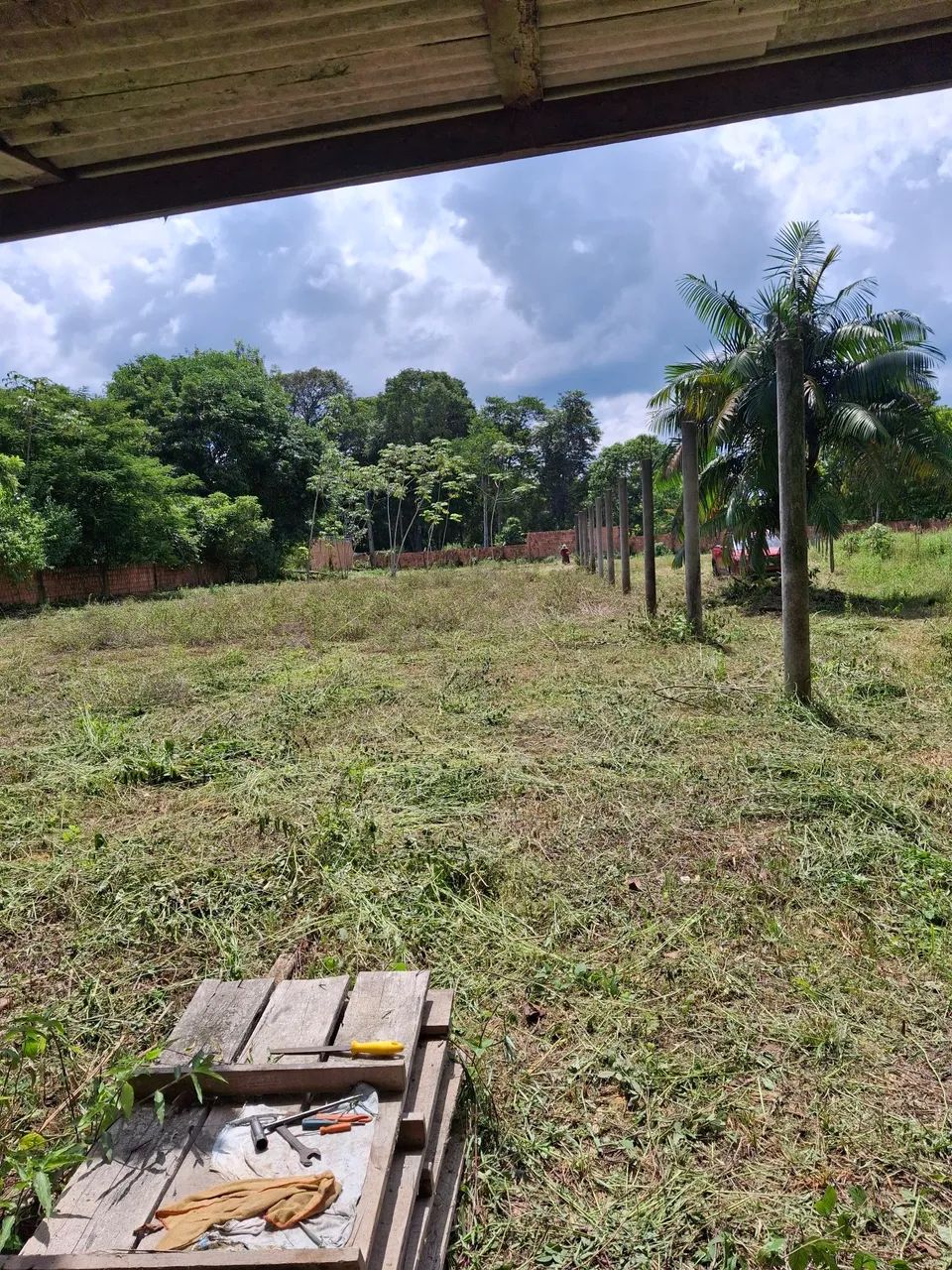 Foto - Manaus - Tarumã-Açu