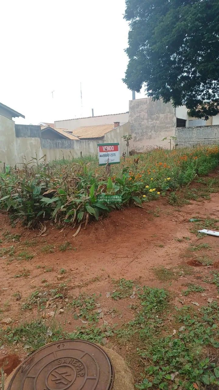 Terreno à venda em Astorga, Centro, com 368 m² - Foto 2