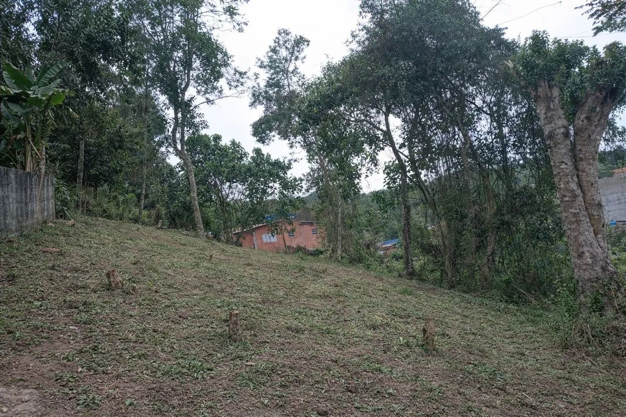 Foto - Cotia - Jardim das Cerejeiras
