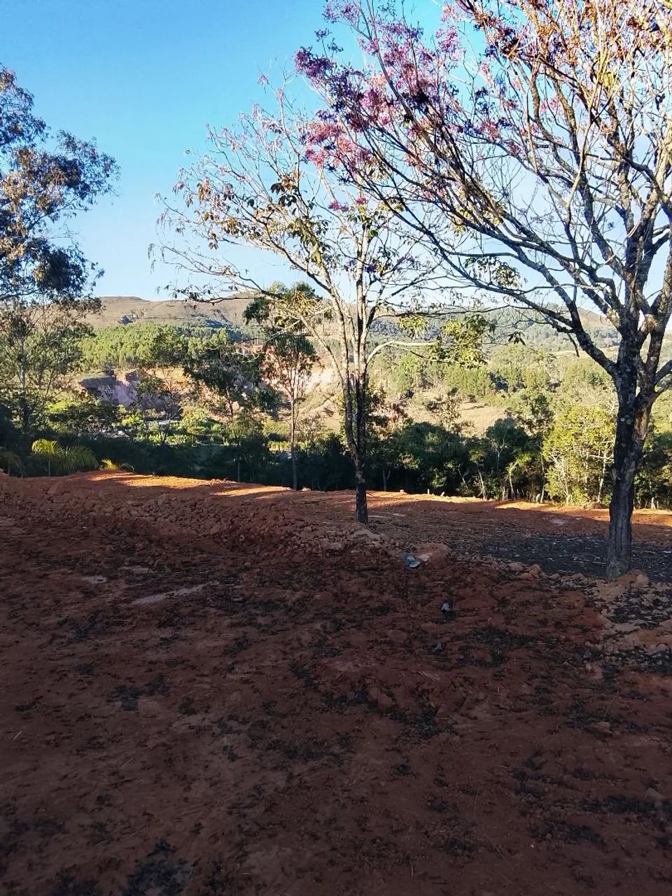 Chácaras/terrenos  a venda  - Foto 5