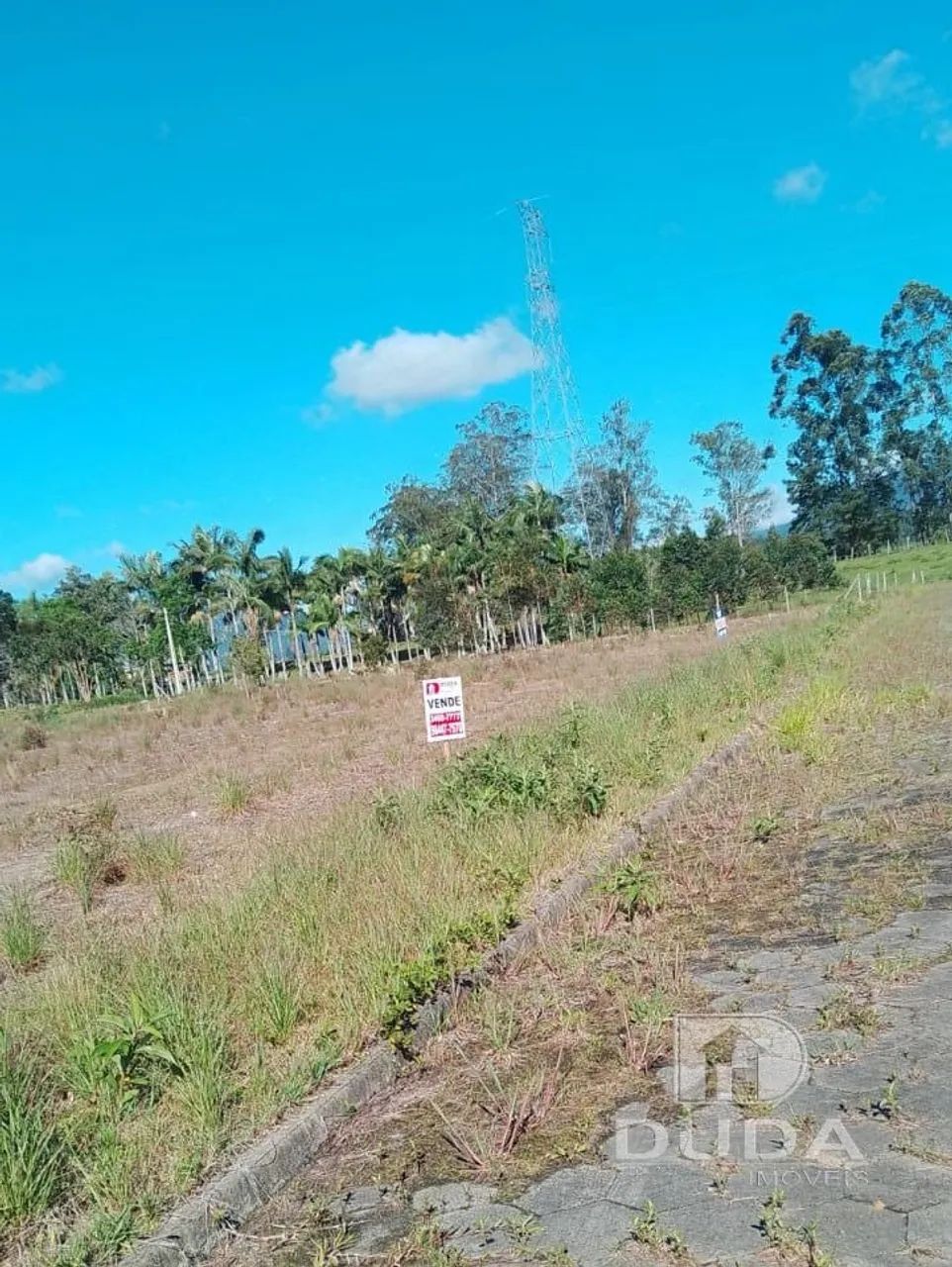 Terreno à venda em Nova Veneza - Foto 3