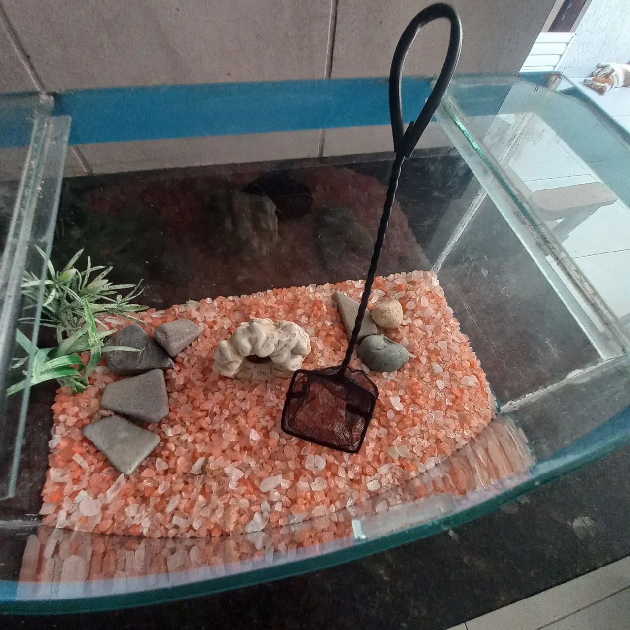 Aquário para peixes - Foto 4