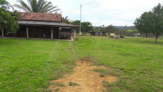 113 alqueires, com 100 aberto