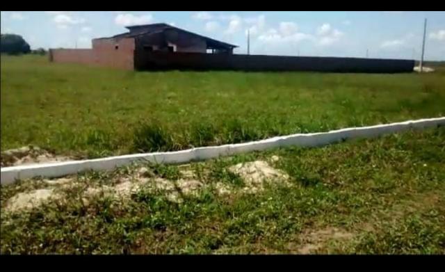 Vendo Terreno em Ceará Mirim- Riachão 1000 metros - Foto 3
