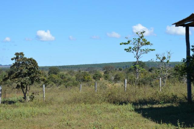 7800 hectares, Primavera do Leste-MT - Foto 6