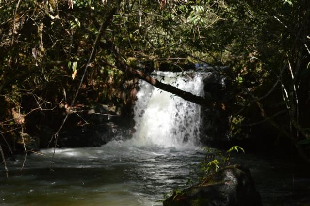 7800 hectares, Primavera do Leste-MT
