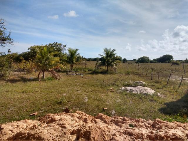 Vendo 15x50 próximo a lagoa dos tambaquis - Foto 4