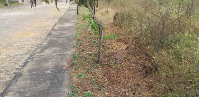 Excelente Terreno na Serra Negra em Bezerros