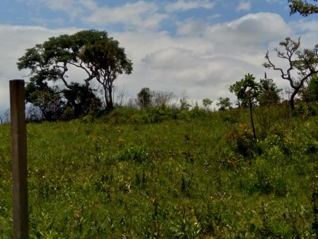 Terreno colônia Rodrigo Silva 3.150m2 - Foto 2