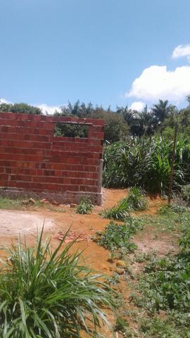 Lote - Foto 3
