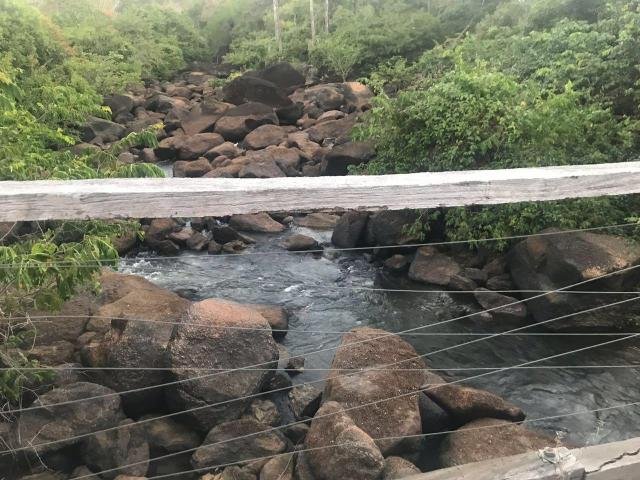 Fazenda serrana, vista para Cachoeira é muita água - Foto 5