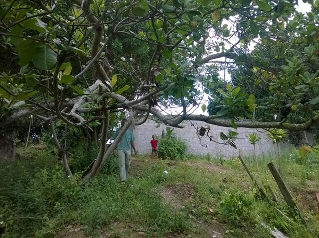 Oportunidade terreno em Águas Claras 6,9x13m R$ 8.500,00