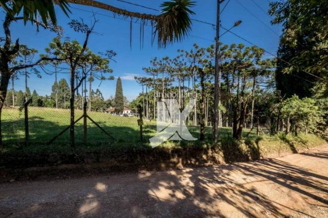Chácara com 1 dormitório à venda, 60500 m² por r$ 599.000,00 - centro - colombo/pr - Foto 20