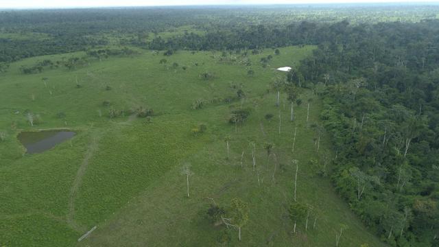 Fazenda Próxima de Rio Branco - Foto 7