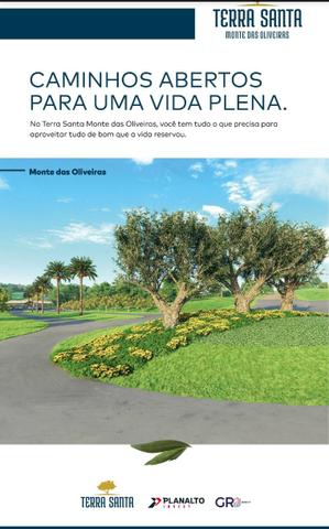 COMPLEXO CHÁCARAS TERRA SANTA MONTE das OLIVEIRAS / ARCA PARQUE - Foto 17