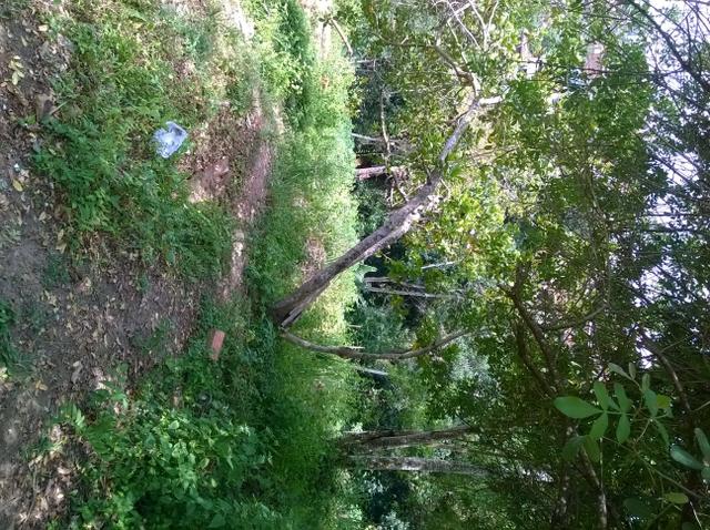 Oportunidade terreno em Águas Claras 6,9x13m R$ 8.500,00 - Foto 4