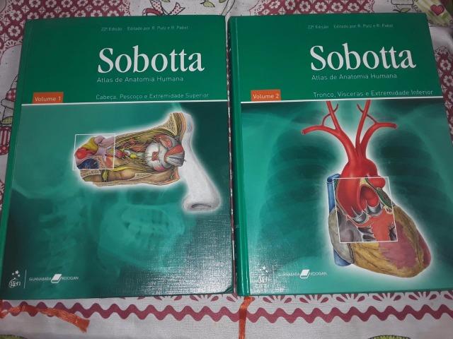 Atlas de Anatomia Humana Sobotta 22 edição - Foto 3