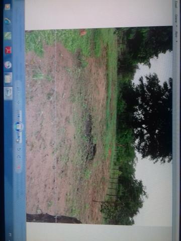 Vendo ou troca terreno no povoado Biquinha - Foto 5